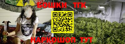 хмурый Тула