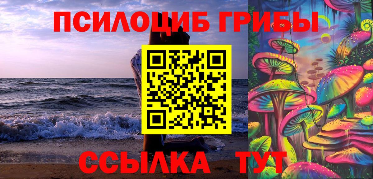 Курчатов  Галлюциногенные грибы MAGIC MUSHROOMS  Вход с VPN  Псилоцибиновые грибы Cubensis 