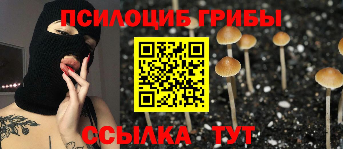 Галлюциногенные грибы MAGIC MUSHROOMS Курчатов